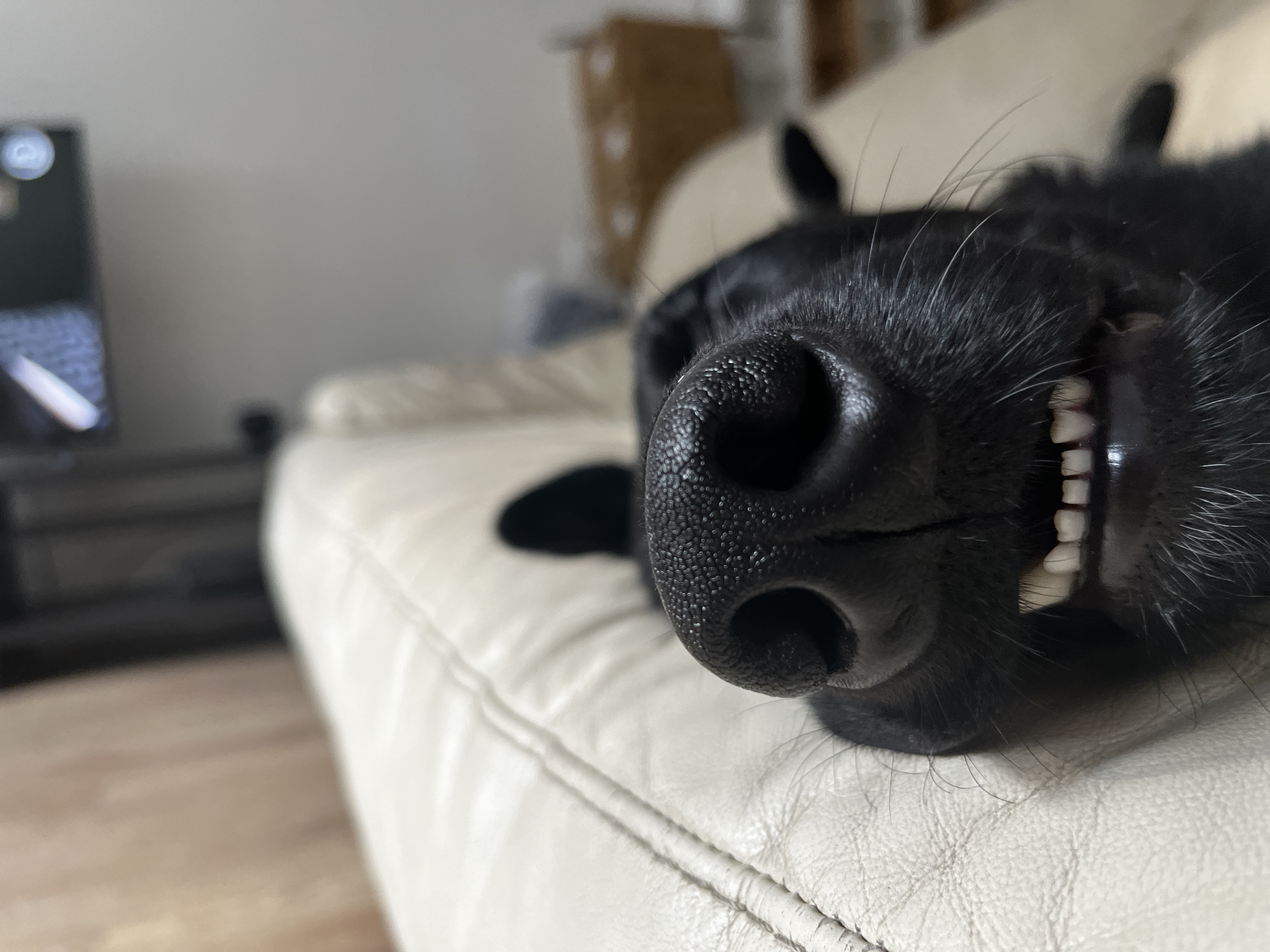 Description de ma photo